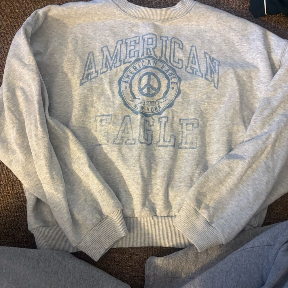 American Eagle Outfitters Light Gray Crewneck Sweater